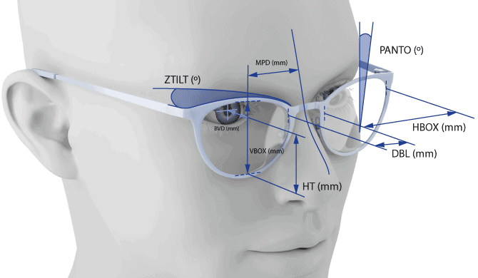 camber variable curves