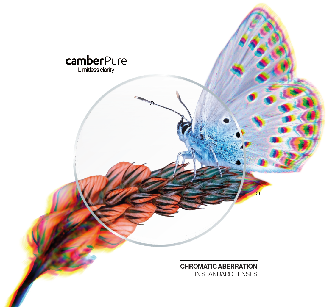 camberPure butterfly